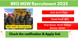 Read more about the article BRO MSW Recruitment 2025.Apply Now