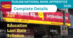 Punjab-National-Bank-Apprentice